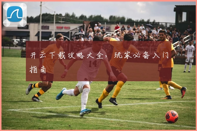 开云下载攻略大全，玩家必备入门指南