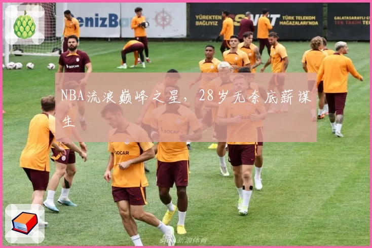 NBA流浪巅峰之星，28岁无奈底薪谋生