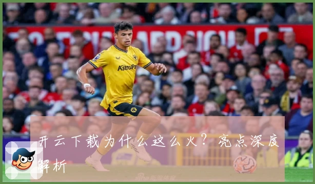 开云下载为什么这么火？亮点深度解析